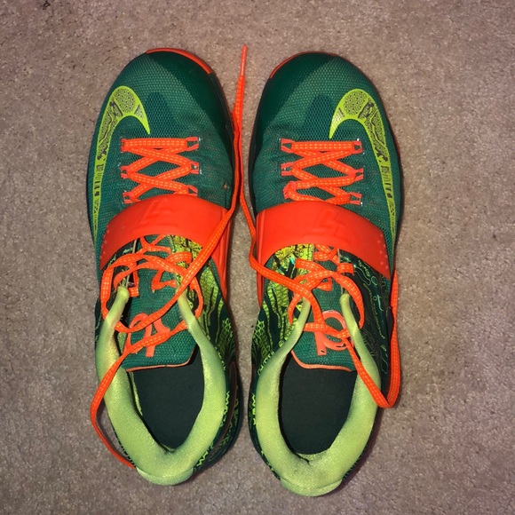 Kd’s - Picture 1 of 1